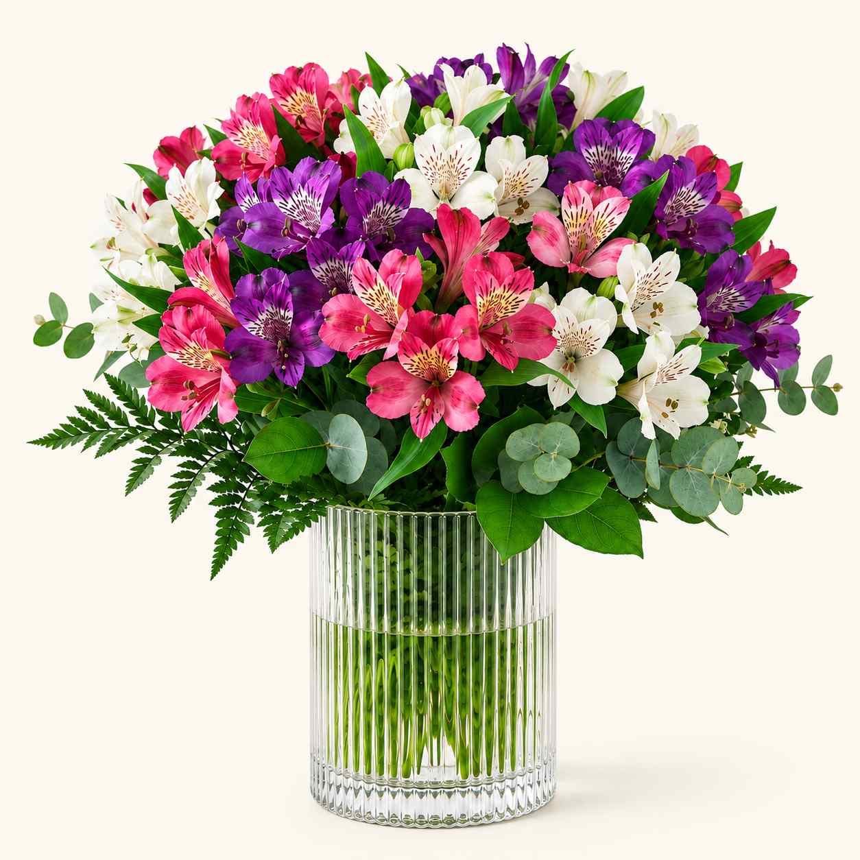 Alstroemeria Bliss — Floranza Toronto